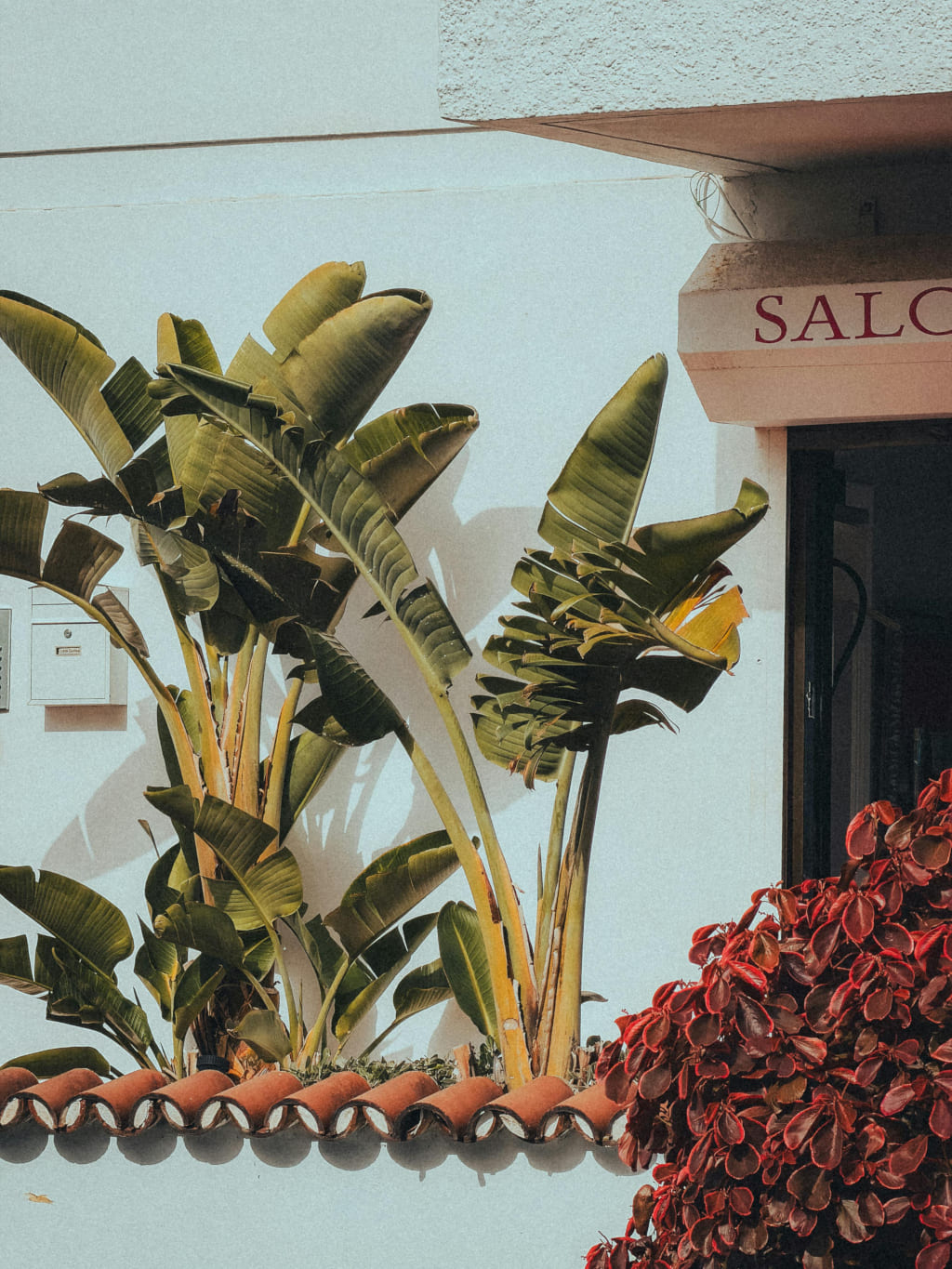 Accompagnement de salons de coiffure, instituts et spas à La Réunion par Cosmonéa